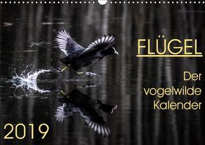 Flügel 2019 Der vogelwilde Kalender (Wandkalender 2019 DIN A3 quer) von van der Wiel,  Irma