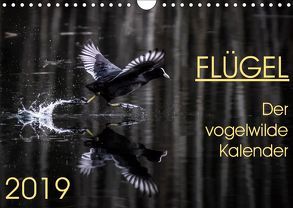 Flügel 2019 Der vogelwilde Kalender (Wandkalender 2019 DIN A4 quer) von van der Wiel,  Irma