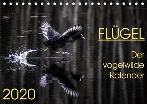 Flügel 2020 Der vogelwilde Kalender (Tischkalender 2020 DIN A5 quer) von van der Wiel,  Irma