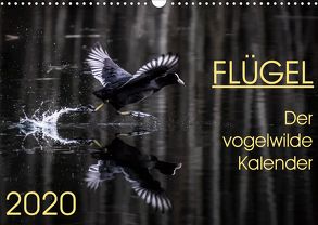 Flügel 2020 Der vogelwilde Kalender (Wandkalender 2020 DIN A3 quer) von van der Wiel,  Irma