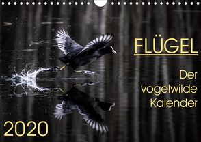 Flügel 2020 Der vogelwilde Kalender (Wandkalender 2020 DIN A4 quer) von van der Wiel,  Irma