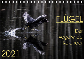 Flügel 2021 Der vogelwilde Kalender (Tischkalender 2021 DIN A5 quer) von van der Wiel,  Irma