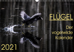 Flügel 2021 Der vogelwilde Kalender (Wandkalender 2021 DIN A3 quer) von van der Wiel,  Irma