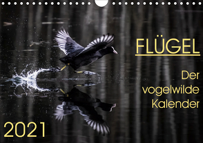 Flügel 2021 Der vogelwilde Kalender (Wandkalender 2021 DIN A4 quer) von van der Wiel,  Irma