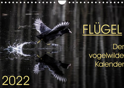 Flügel 2022 Der vogelwilde Kalender (Wandkalender 2022 DIN A4 quer) von van der Wiel,  Irma