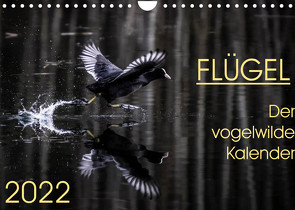 Flügel 2022 Der vogelwilde Kalender (Wandkalender 2022 DIN A4 quer) von van der Wiel,  Irma