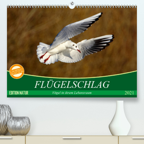 Flügelschlag – Vögel in ihrem natürlichen Lebensraum (Premium, hochwertiger DIN A2 Wandkalender 2021, Kunstdruck in Hochglanz) von Kottal / Claudia Elsner,  Axel