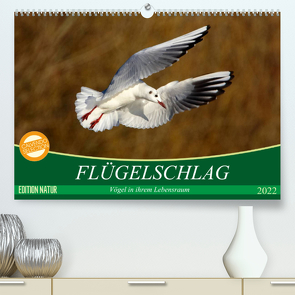 Flügelschlag – Vögel in ihrem natürlichen Lebensraum (Premium, hochwertiger DIN A2 Wandkalender 2022, Kunstdruck in Hochglanz) von Kottal / Claudia Elsner,  Axel