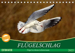 Flügelschlag – Vögel in ihrem natürlichen Lebensraum (Tischkalender 2022 DIN A5 quer) von Kottal / Claudia Elsner,  Axel