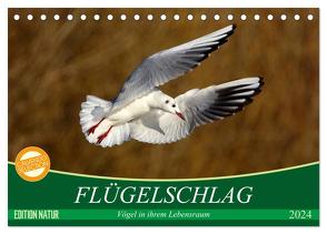 Flügelschlag – Vögel in ihrem natürlichen Lebensraum (Tischkalender 2024 DIN A5 quer), CALVENDO Monatskalender von Kottal / Claudia Elsner,  Axel