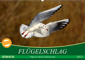 Flügelschlag – Vögel in ihrem natürlichen Lebensraum (Wandkalender 2021 DIN A2 quer) von Kottal / Claudia Elsner,  Axel