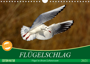 Flügelschlag – Vögel in ihrem natürlichen Lebensraum (Wandkalender 2021 DIN A4 quer) von Kottal / Claudia Elsner,  Axel