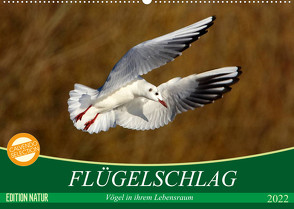 Flügelschlag – Vögel in ihrem natürlichen Lebensraum (Wandkalender 2022 DIN A2 quer) von Kottal / Claudia Elsner,  Axel