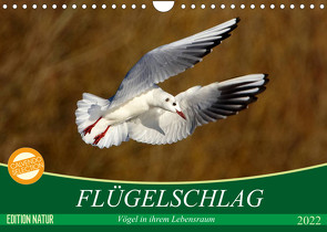 Flügelschlag – Vögel in ihrem natürlichen Lebensraum (Wandkalender 2022 DIN A4 quer) von Kottal / Claudia Elsner,  Axel