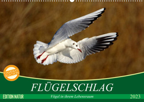 Flügelschlag – Vögel in ihrem natürlichen Lebensraum (Wandkalender 2023 DIN A2 quer) von Kottal / Claudia Elsner,  Axel