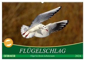 Flügelschlag – Vögel in ihrem natürlichen Lebensraum (Wandkalender 2024 DIN A2 quer), CALVENDO Monatskalender von Kottal / Claudia Elsner,  Axel