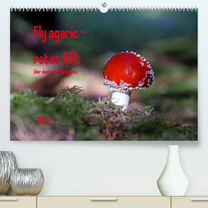 Fly agaric – rotes Gift (Premium, hochwertiger DIN A2 Wandkalender 2022, Kunstdruck in Hochglanz) von Flori0