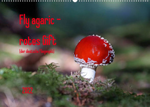 Fly agaric – rotes Gift (Wandkalender 2022 DIN A2 quer) von Flori0