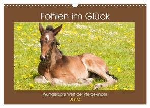 Fohlen im Glück – Wunderbare Welt der Pferdekinder (Wandkalender 2024 DIN A3 quer), CALVENDO Monatskalender von Bölts,  Meike