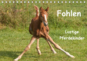 Fohlen – Lustige Pferdekinder (Tischkalender 2021 DIN A5 quer) von Bölts,  Meike