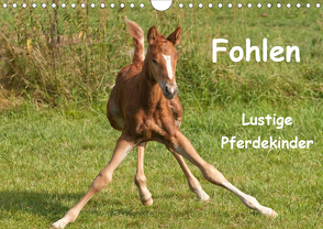 Fohlen – Lustige Pferdekinder (Wandkalender 2021 DIN A4 quer) von Bölts,  Meike