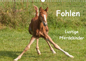 Fohlen – Lustige Pferdekinder (Wandkalender 2022 DIN A3 quer) von Bölts,  Meike