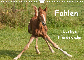 Fohlen – Lustige Pferdekinder (Wandkalender 2022 DIN A4 quer) von Bölts,  Meike