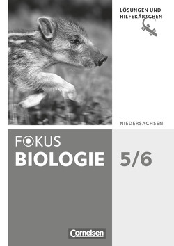 Fokus Biologie – Neubearbeitung – Gymnasium Niedersachsen G9 – 5./6. Schuljahr von Budde,  Julia, Erdogan,  Nermin, Hörenberg,  Nicole, Janßen,  Hans-Jürgen, Jeuck,  Judith, Meinecke,  Yvonne, Sandmann,  Matthias, Schaal,  Heike, Schmiemann,  Philipp, Schulz,  Jutta, Wolf,  Astrid