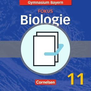 Fokus Biologie – Oberstufe – Gymnasium Bayern – 11. Jahrgangsstufe von Brott,  Axel Björn, Gräbe,  Gabriele, Kleesattel,  Walter, Kleinert,  Reiner, Ruppert,  Wolfgang, Scholz,  Frank, Weber,  Ulrich