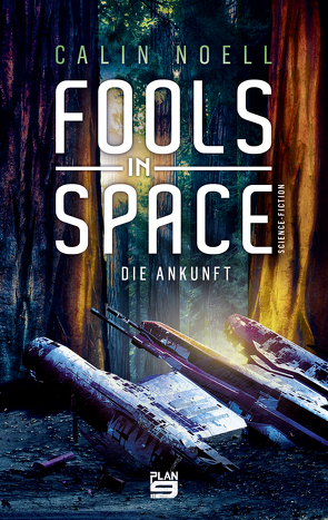 Fools in Space von Noell,  Calin