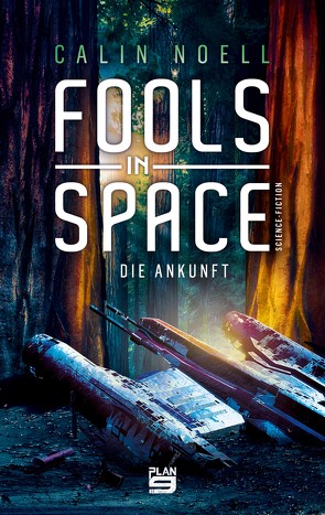 Fools in Space von Noell,  Calin