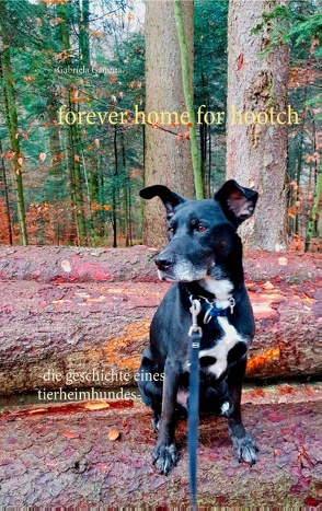 Forever home for Hootch von Gamma,  Gabriela