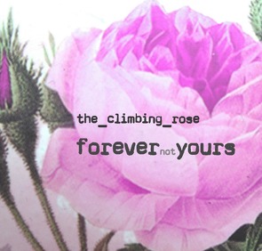 forevernotyours von (Autorin),  the_climbing_rose