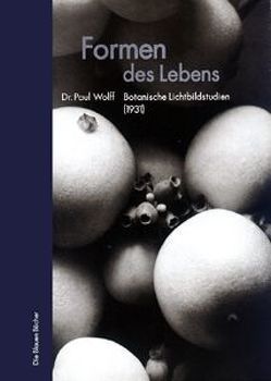 Formen des Lebens von Köster,  Hans-Curt, Markgraf,  Friedrich, Möbius,  Martin, Stamm,  Rainer, Wolff,  Paul