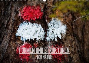 Formen und Strukturen der Natur (Wandkalender 2021 DIN A2 quer) von Grimm Photography,  Mike