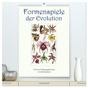 Formenspiele der Evolution. Chromolithographien des 19. Jahrhunderts (hochwertiger Premium Wandkalender 2024 DIN A2 hoch), Kunstdruck in Hochglanz von Galle,  Jost