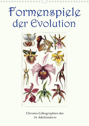 Formenspiele der Evolution. Chromolithographien des 19. Jahrhunderts (Wandkalender 2023 DIN A3 hoch) von Galle,  Jost