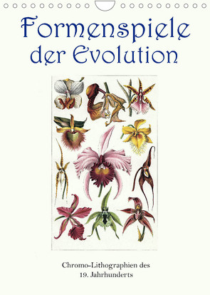 Formenspiele der Evolution. Chromolithographien des 19. Jahrhunderts (Wandkalender 2023 DIN A4 hoch) von Galle,  Jost