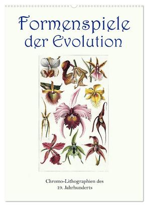 Formenspiele der Evolution. Chromolithographien des 19. Jahrhunderts (Wandkalender 2024 DIN A2 hoch), CALVENDO Monatskalender von Galle,  Jost