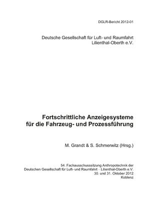 Fortschrittliche Anzeigesysteme für die Fahrzeug- und Prozessführung von Grandt,  Morten