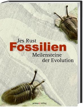 Fossilien von Rust,  Jes