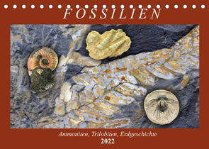 Fossilien – Ammoniten, Trilobiten, Erdgeschichte (Tischkalender 2022 DIN A5 quer) von Frost,  Anja