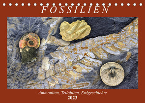 Fossilien – Ammoniten, Trilobiten, Erdgeschichte (Tischkalender 2023 DIN A5 quer) von Frost,  Anja