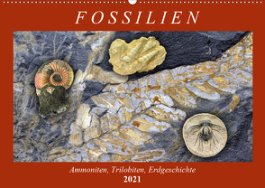 Fossilien – Ammoniten, Trilobiten, Erdgeschichte (Wandkalender 2021 DIN A2 quer) von Frost,  Anja