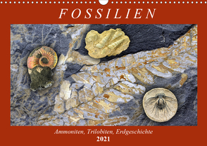 Fossilien – Ammoniten, Trilobiten, Erdgeschichte (Wandkalender 2021 DIN A3 quer) von Frost,  Anja