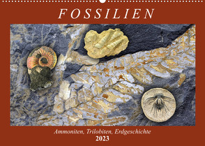 Fossilien – Ammoniten, Trilobiten, Erdgeschichte (Wandkalender 2023 DIN A2 quer) von Frost,  Anja