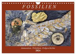 Fossilien – Ammoniten, Trilobiten, Erdgeschichte (Wandkalender 2024 DIN A4 quer), CALVENDO Monatskalender von Frost,  Anja