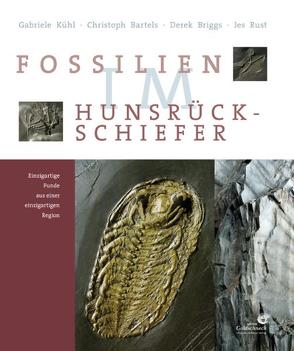 Fossilien im Hunsrück-Schiefer von Bartels,  Christoph, Briggs,  Derek, Kühl,  Gabriele K, Rust,  Jes