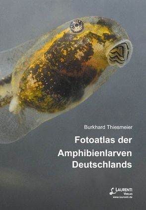 Fotoatlas der Amphibienlarven Deutschlands von Thiesmeier,  Burkhard