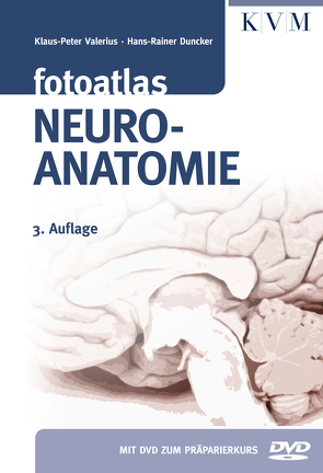 Fotoatlas Neuroanatomie von Duncker,  Hans-Rainer, Valerius,  Klaus-Peter